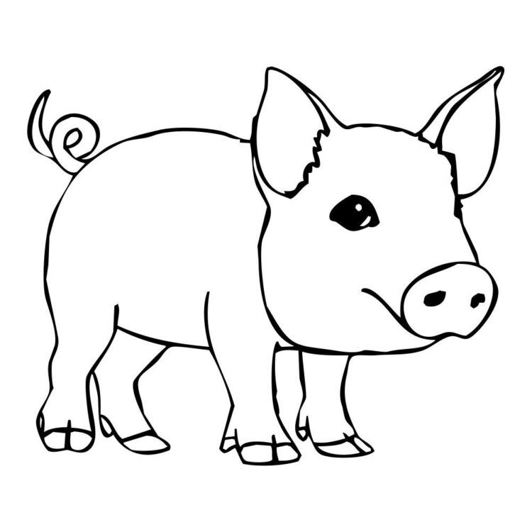 Chia Sẻ Hơn 54 Về Hình Ảnh Tô Màu Con Lợn Hay Nhất - Cdgdbentre.Edu.Vn