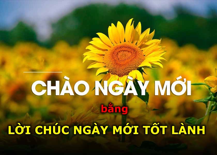 1001+ Lời Chúc Ngày Mới Tốt Lành, Vui Vẻ & Tràn Đầy Năng Lượng