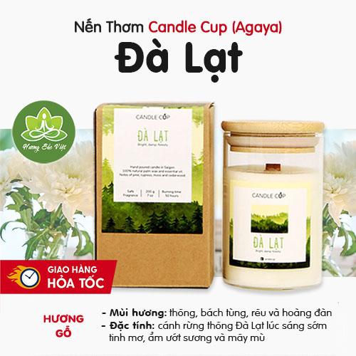 Nến Thơm Agaya (Candle Cup) Mùi Đà Lạt, Hương Rừng Thông Tươi Mát