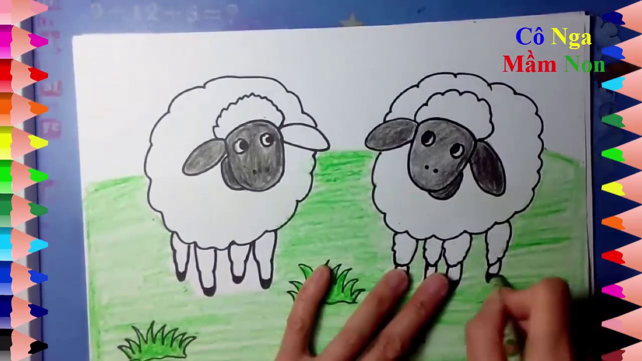 Hướng Dẫn Bé Vẽ Con Cừu- Vẽ Tranh Con Cừu- How To Draw And Color A Sheep -  Youtube