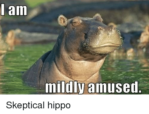 Time For Some Hippos! 15 Funny Memes To Make Your Sunday Better - I Can Has  Cheezburger?
