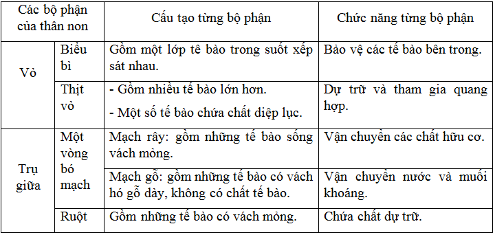 Trả Lời Câu Hỏi Sinh 6 Bài 15 Trang 49 | Hay Nhất Giải Bài Tập Sinh Học 6