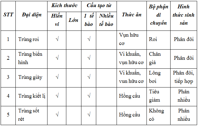 Trả Lời Câu Hỏi Sinh 7 Bài 7 Trang 26 | Hay Nhất Giải Bài Tập Sinh Học 7