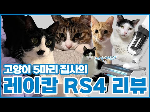 고양이 5마리 모시는 집사의 레이캅 펫+ 청소 후기 리뷰 (a.k.a.청소지옥)