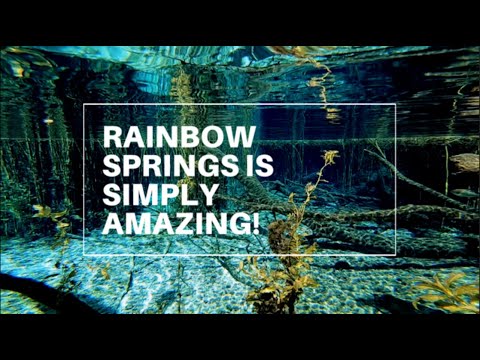 Rainbow Springs State Park Tour & Review | Florida Vacation | Florida Springs