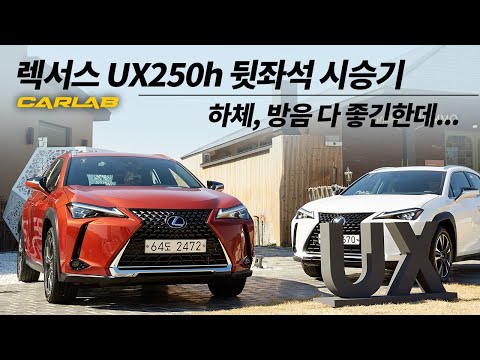 [4K] 렉서스 UX250h 뒷좌석 시승기, 방음 아주 좋다! 그런데...  [카랩/CARLAB]