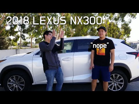 2018/2019 Lexus NX300 - 렉서스 NX 300 리뷰 - 아빠들을 당황시킨 NX의 특징은??