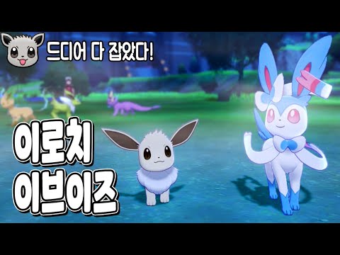 ㅠㅠ 드디어 다 잡았습니다 [포켓몬 레츠고 이로치 이브이작 하이라이트]