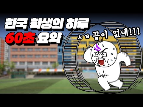 ㄹㅇ 눙물이... K-학생의 하루 60초 요약 I 입시덕후