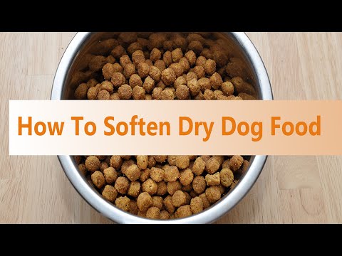 How to Soften Dry Dog Food for Seniors & Dogs with Bad Teeth