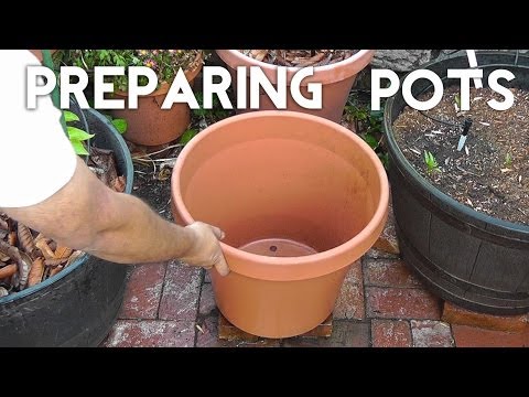 Get your Pots or Containers ready for planting!