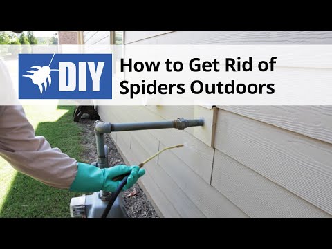 How to Get Rid of Spiders Outdoors