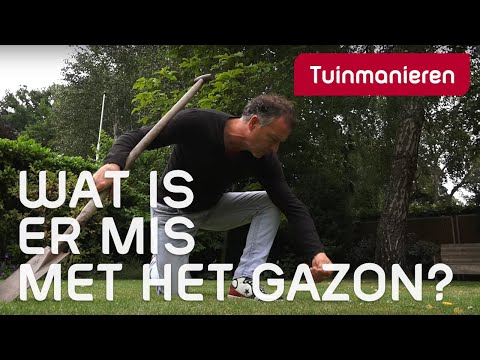 Wat is er mis met het gazon? Gras problemen | Zomer | Tuinmanieren