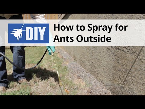 How to Spray for Ants Outdoors | DoMyOwn.com