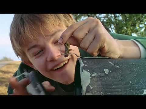 What's Eating Gilbert Grape(1993) Full HD movie || Dicaprio and Johny Depp ||