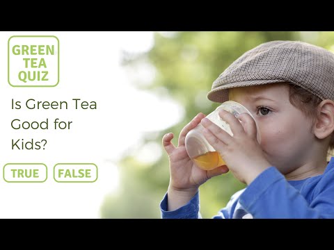 Is Green Tea Good for Kids?  - Green Tea Quiz