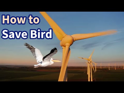 How technology is saving birds at wind farms