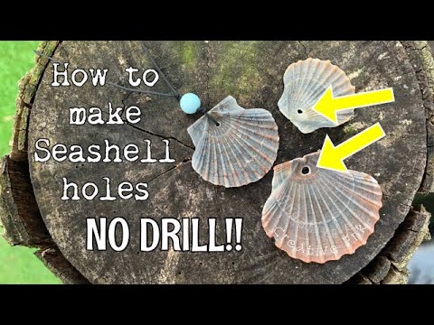 How to put a hole into a shell. NO drilling! Seashell holes made easy 🐚