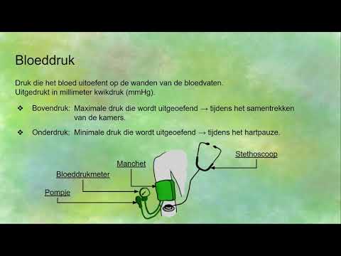 Bloeddruk meten - bovendruk en onderdruk