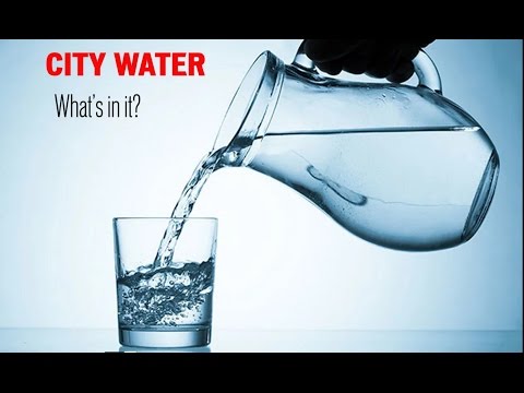 Municipal Water - What’s in your water and how to treat it?