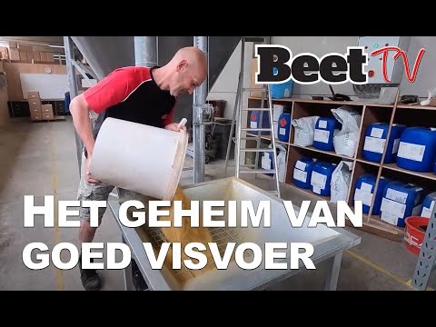 Dit is het geheim van een goed visvoer! I Beet TV