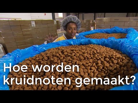 Hoe worden kruidnoten gemaakt? | Doen Ze Dat Zo?