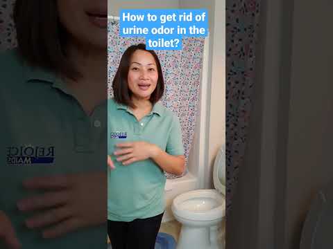 How to get rid of urine odor in the toilet? Stinky toilet? Smelly urine remedy? Toilet urine odor?