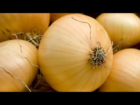 You've Been Storing Onions Wrong Your Entire Life