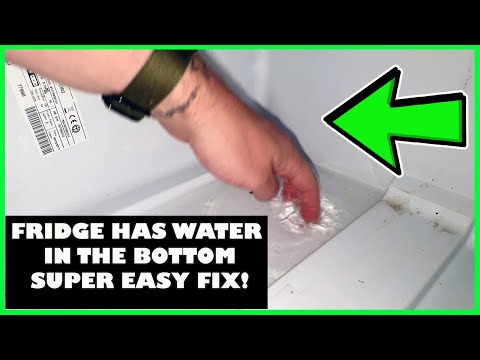 FRIDGE HAS WATER IN THE BOTTOM UNDER VEGGIE TRAYS EASY FIX