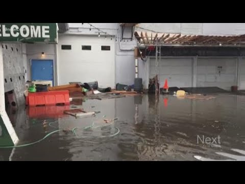 This museum curator is trying to rebuild after a flash flood