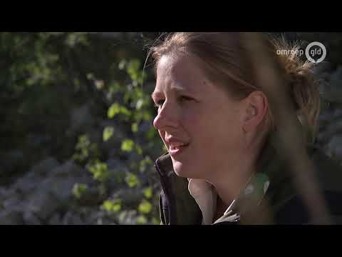 Waarom de steengroeve in Winterswijk zo'n bijzondere natuur heeft - BuitenGewoon