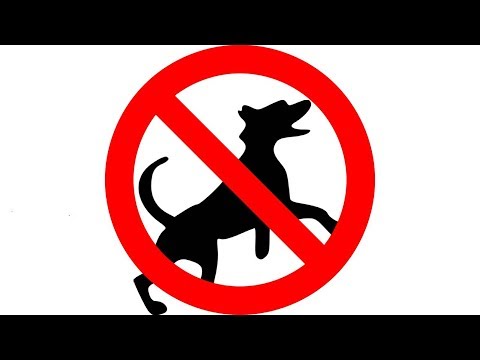 ▶️ How To Stop A Dog Barking. Ultrasonic Bark Control. Keep A Dog Out Of Garden. 12 Hours. 🌏