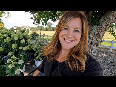 Planting Gorgeous Shrubs for Full Sun! 🌿☀️💚 // Garden Answer