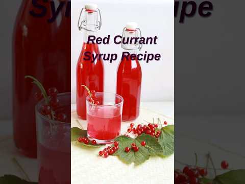 How to make Red Currant Syrup #shorts