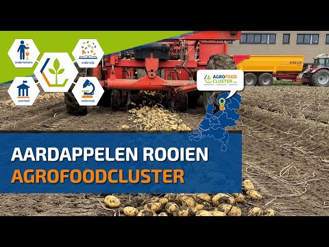 Aardappelen rooien #shorts