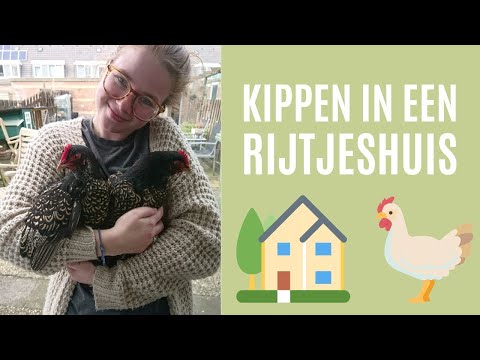 KIPPEN Houden in een RIJTJESHUIS | Kippen in een Woonwijk? | Voor en Nadelen.