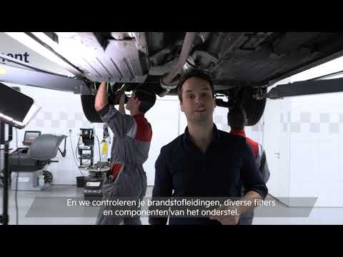 Service & Onderhoud  | Grote beurt | Kia Nederland