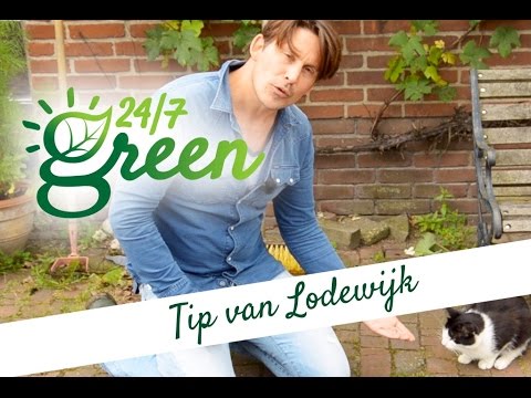 TIP: ZO BLIJVEN KATTEN WEG UIT JE TUIN