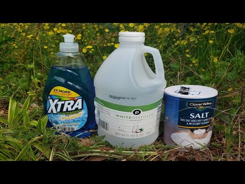 Natural Homemade Weed Killer Recipe Tested by Lawn Care Pro